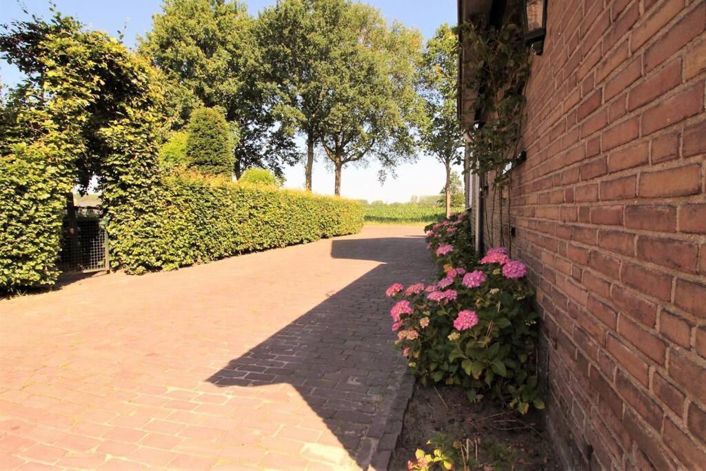 'T Hoefijzer Sint-Oedenrode Bagian luar foto